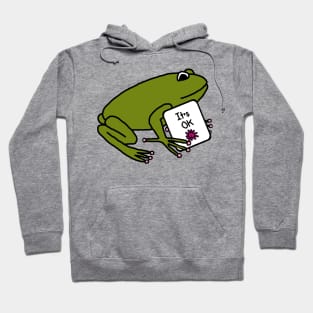 Kindness Quote Frog Says Its OK Hoodie